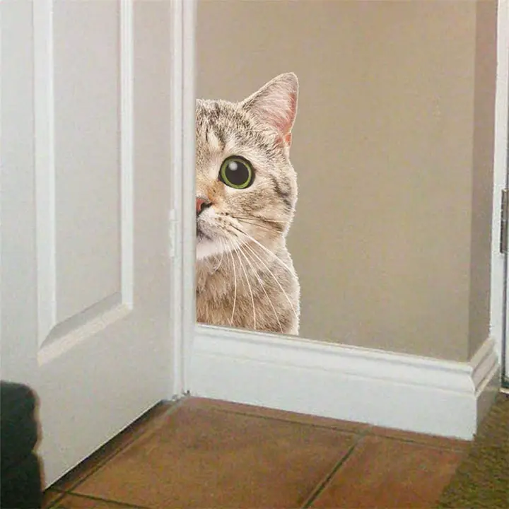lovely cat hiding for mouse door wall sticker