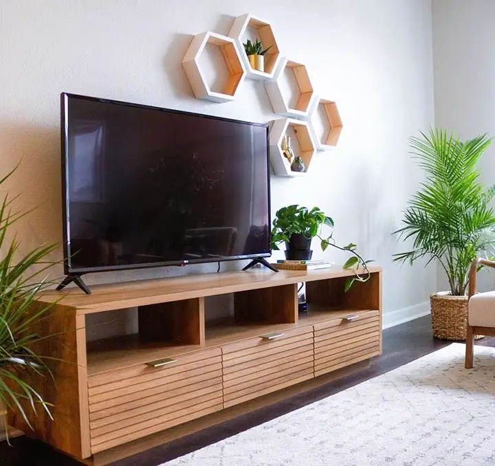 cover the wire with plants placed on either side of tv